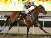 Goal Keeper winning on the Polytrack under Danny Beasley last month.<br>Photo by Singapore Turf Club